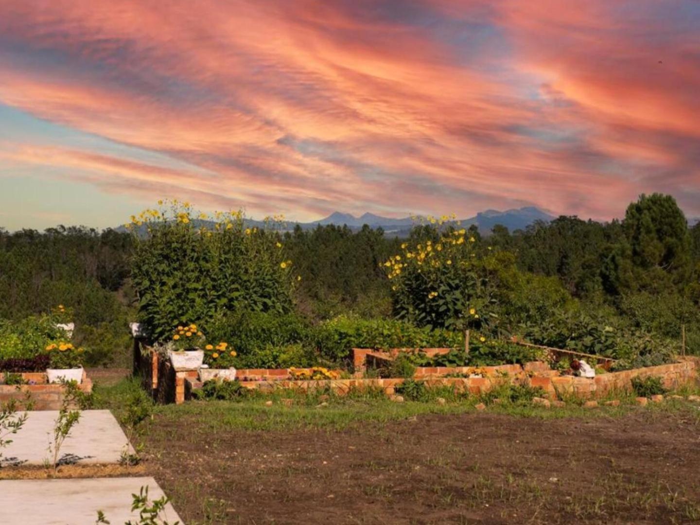 20 Good Summers Farm Stay The Crags Exterior photo